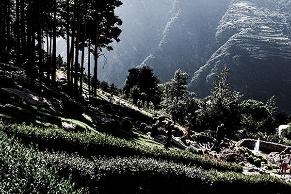 Jardines de Juberri Grandvalira