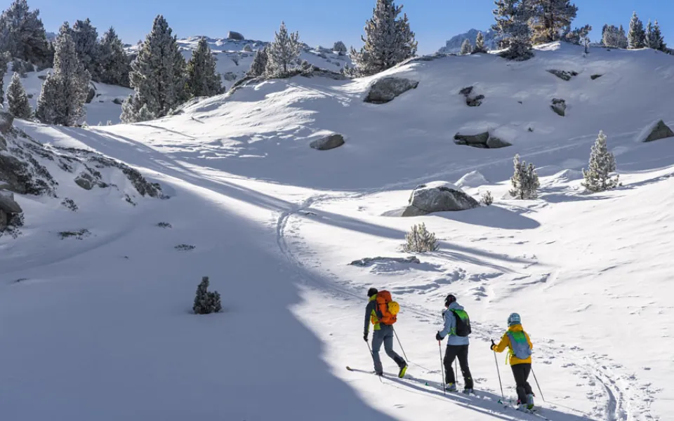 nordic-walking