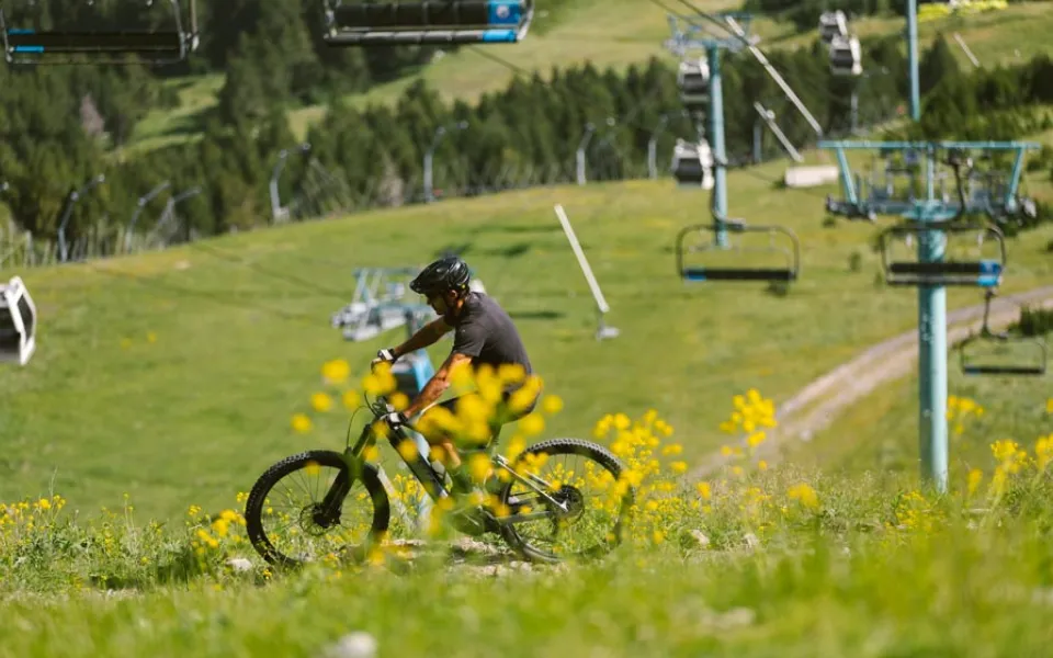 posicion-bici-montana