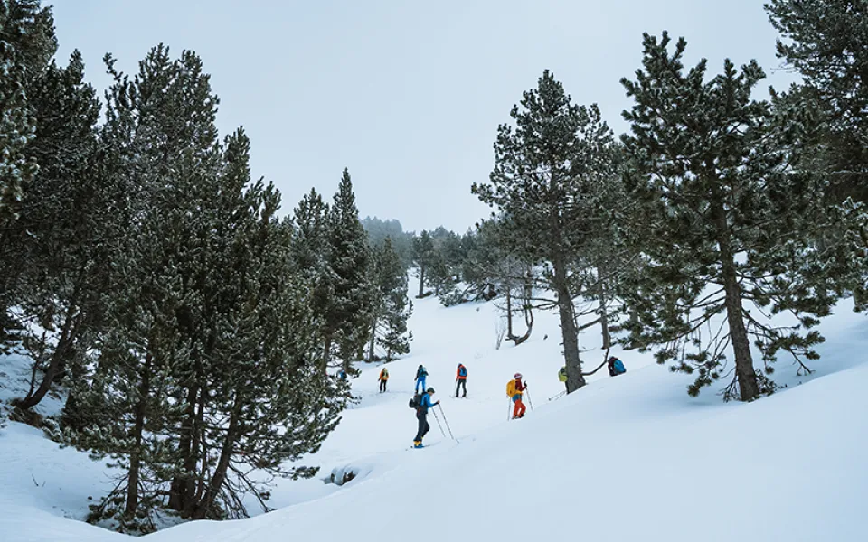 Haglofs