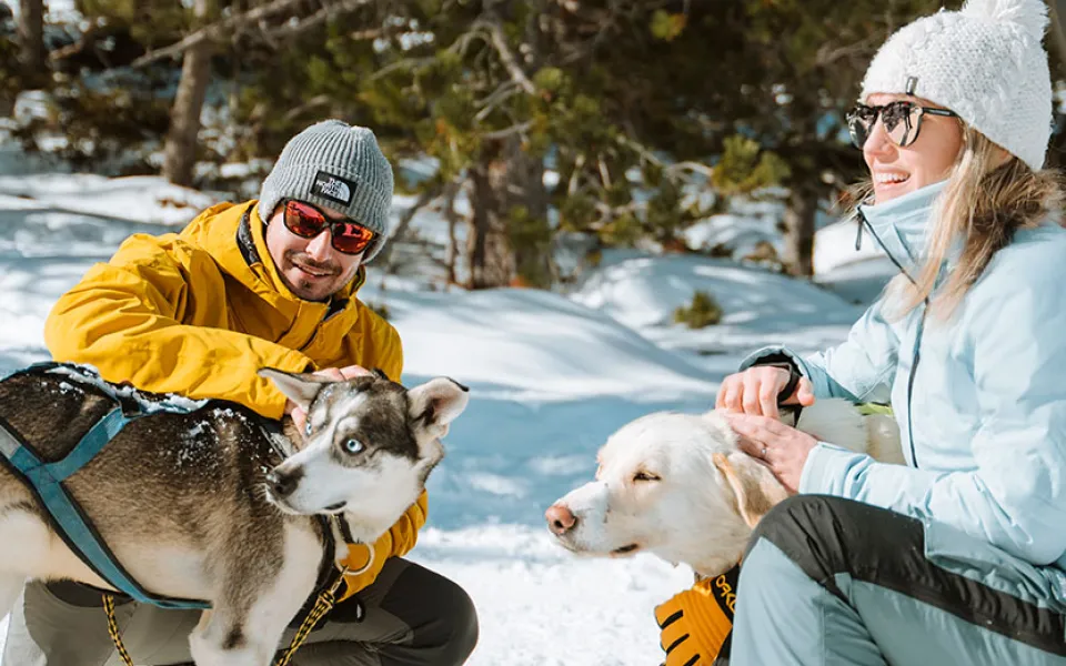 dogs-in-andorra