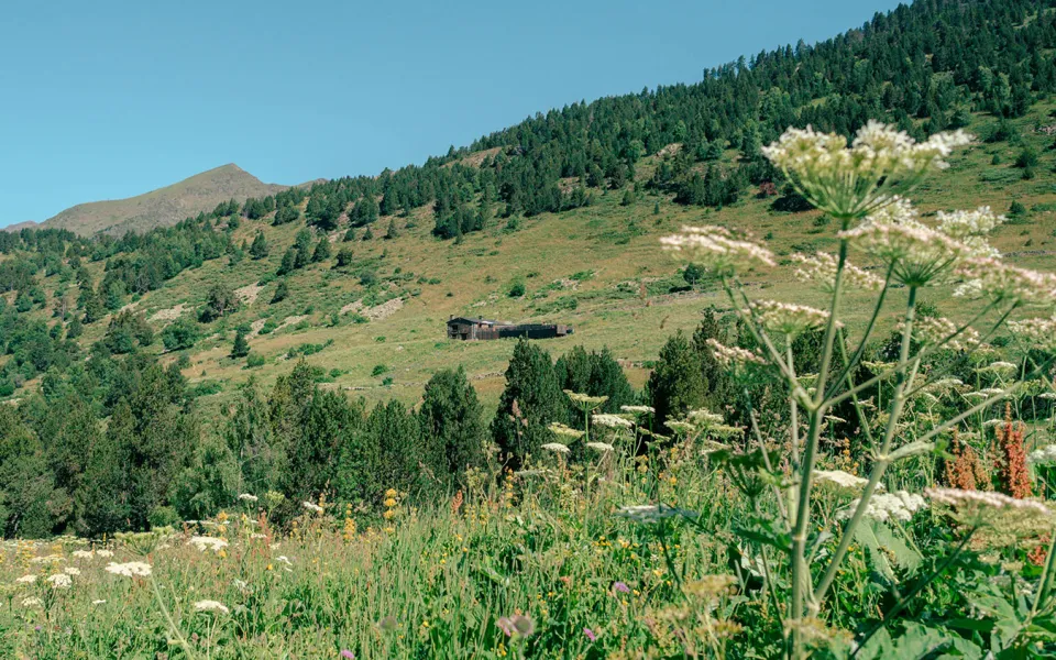 Refuge de Sorteny