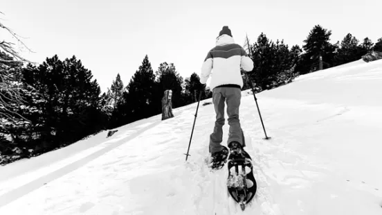 Pal Arinsal Actividades