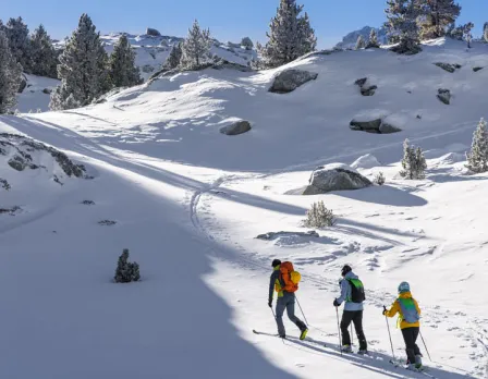 nordic-walking