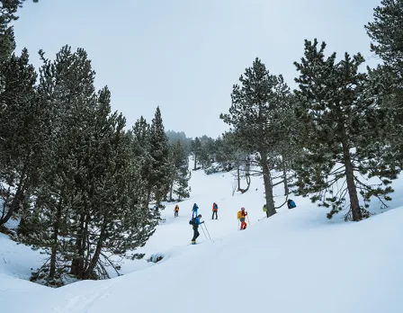 Haglofs