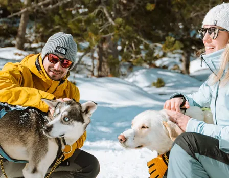 dogs-in-andorra