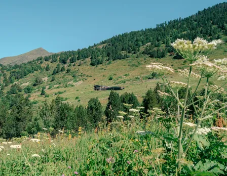 Refugio de Sorteny