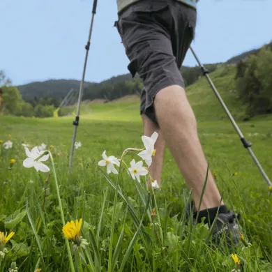 effet de l’entraînement en altitude