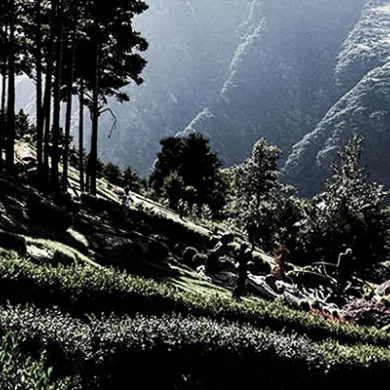 Jardines de Juberri en Andorra
