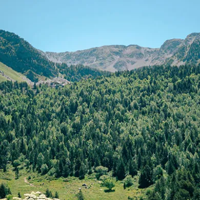 Le parc naturel de Sorteny Andorre