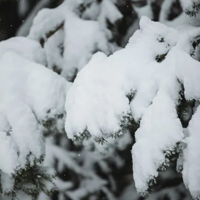 A quelle température il neige