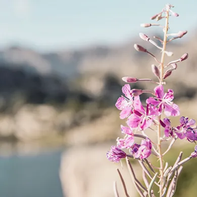 things to do in Andorra in spring