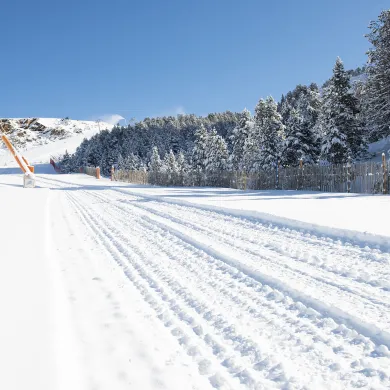 different types of snow