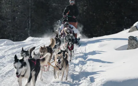 Mushing Grandvalira