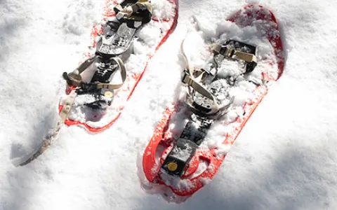 Raquetes de neu