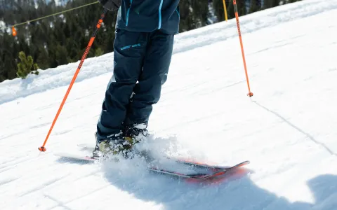 Magic ski grau roig