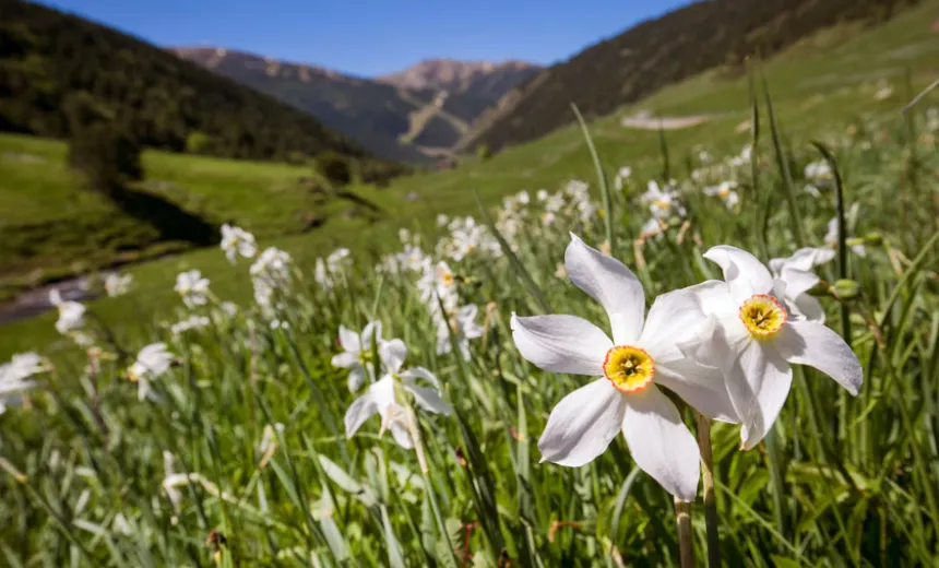 paisaje_grandvalira