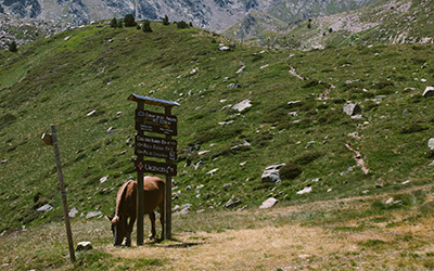 que-faire-andorre-ete-enfants