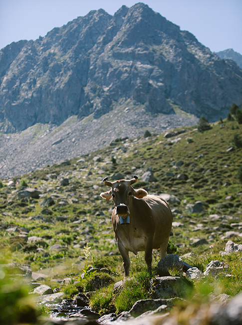 tourisme-paysager-andorre