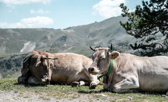 weather-andorra-summer