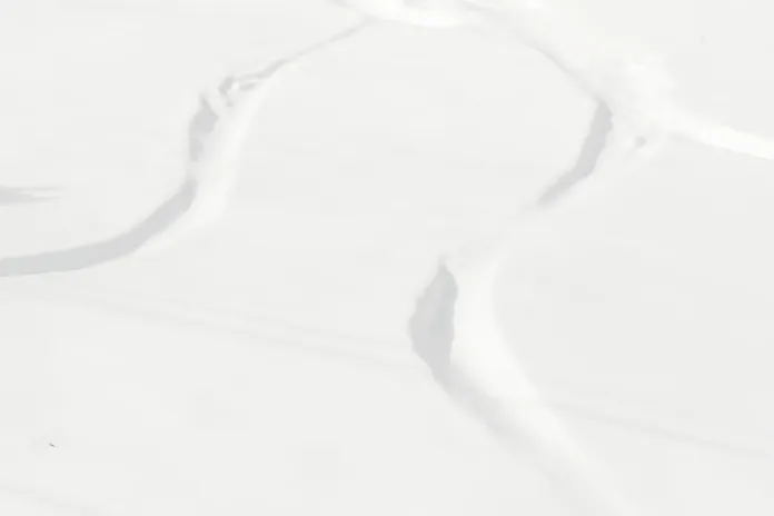 Grandvalira esqui adaptado