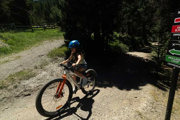 Molleres loop