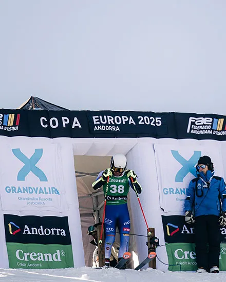 competicions fis